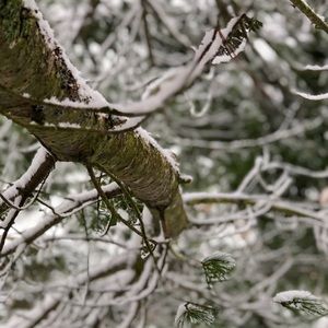 Meet your Posher, Ethan